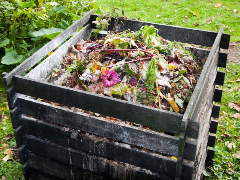 skrzynia kompostowa z odpadami warzyw